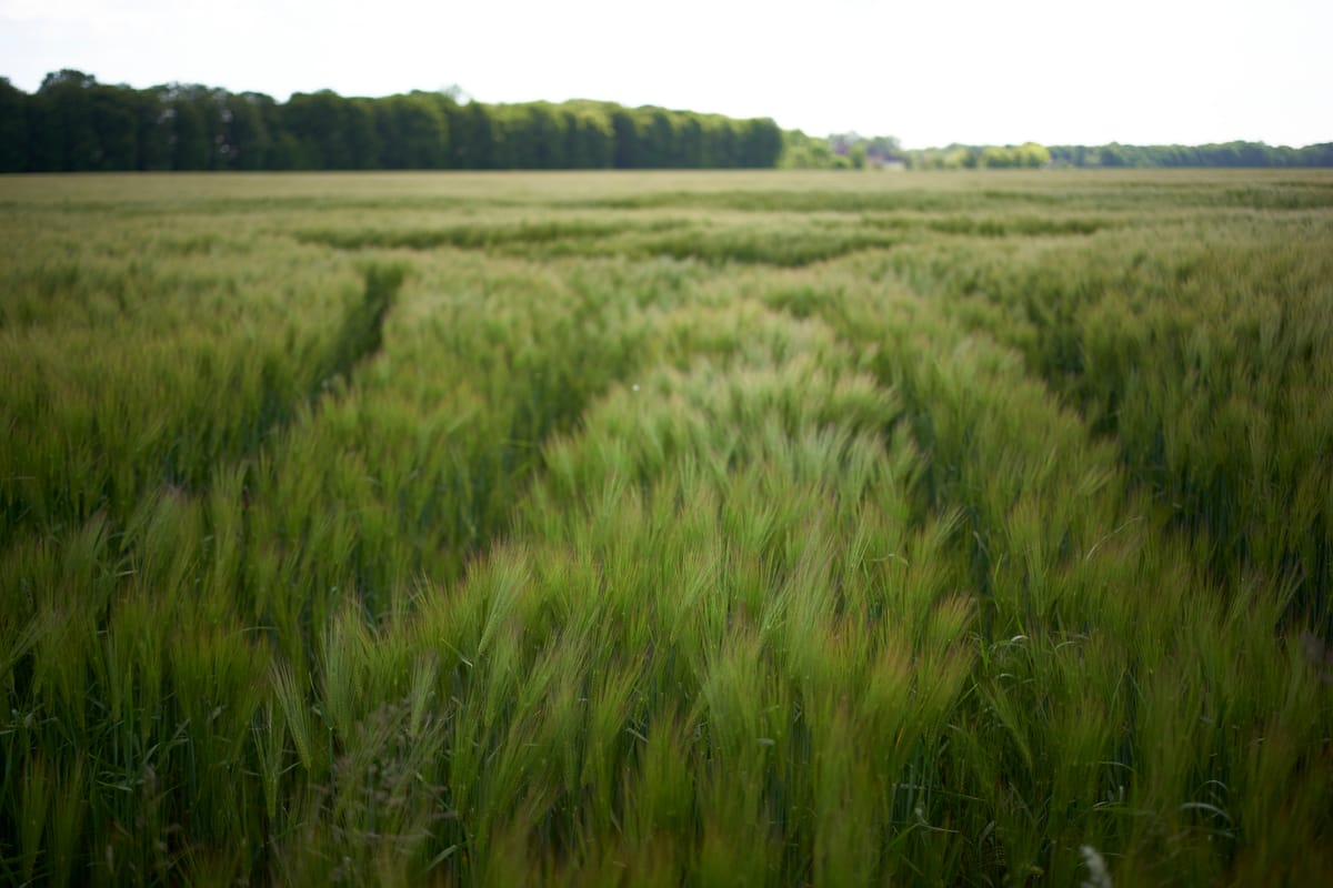 Chemin Jean Racine